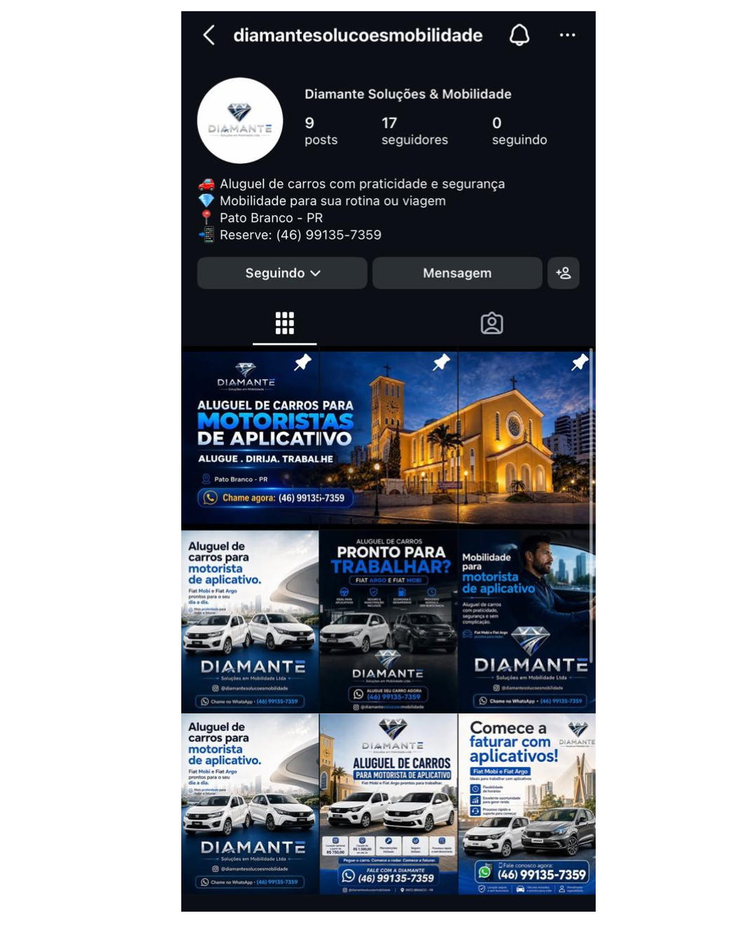 Perfil profissional da Diamante Soluções e Mobilidade